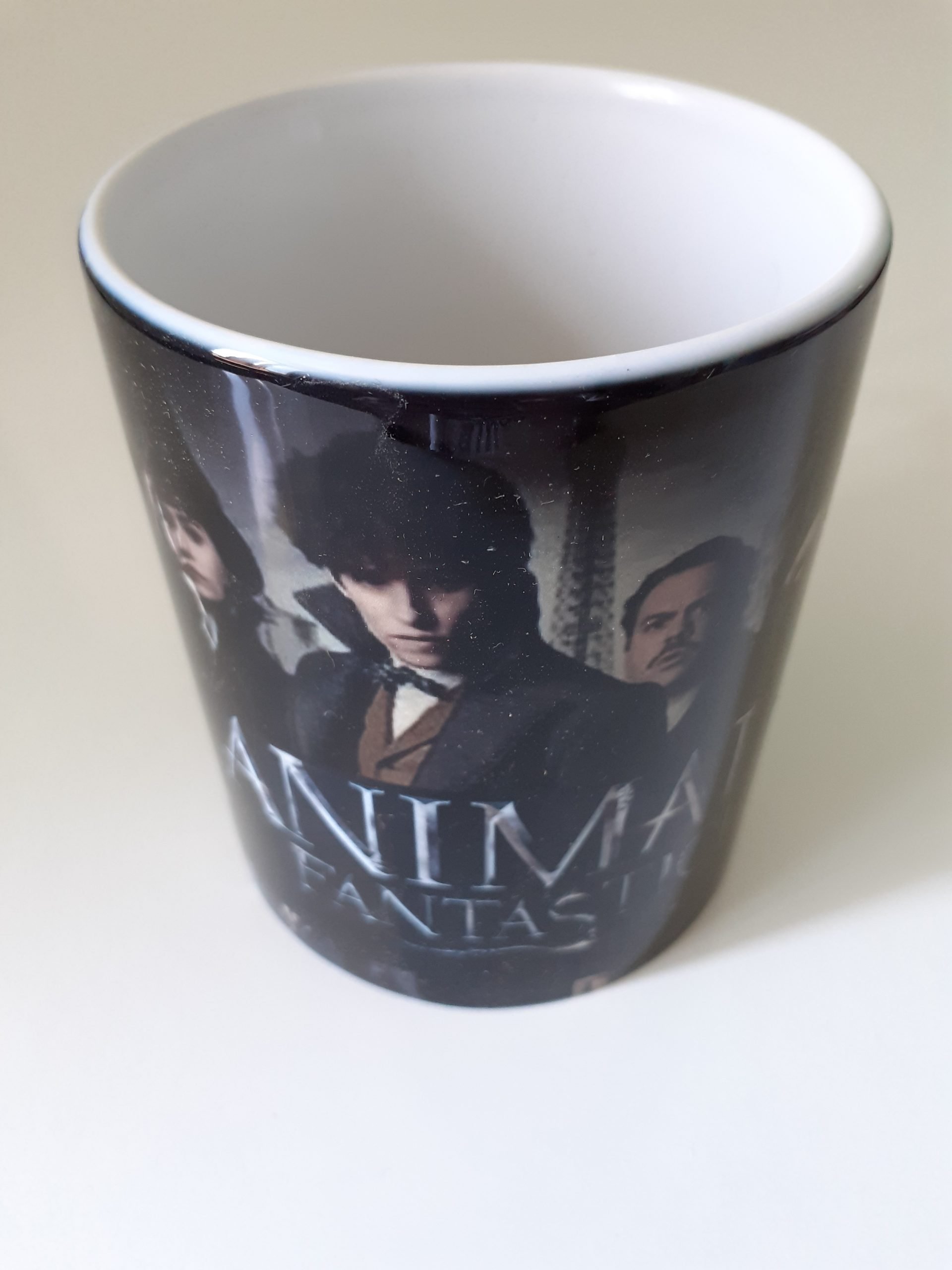 Tazza In Ceramica Animali Fantastici - Mug Ufficiale Da 325 Ml - Idea Regalo Per Film E Lettori