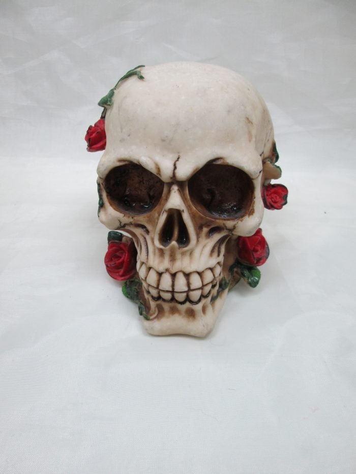 Teschio Con Rose Rosse