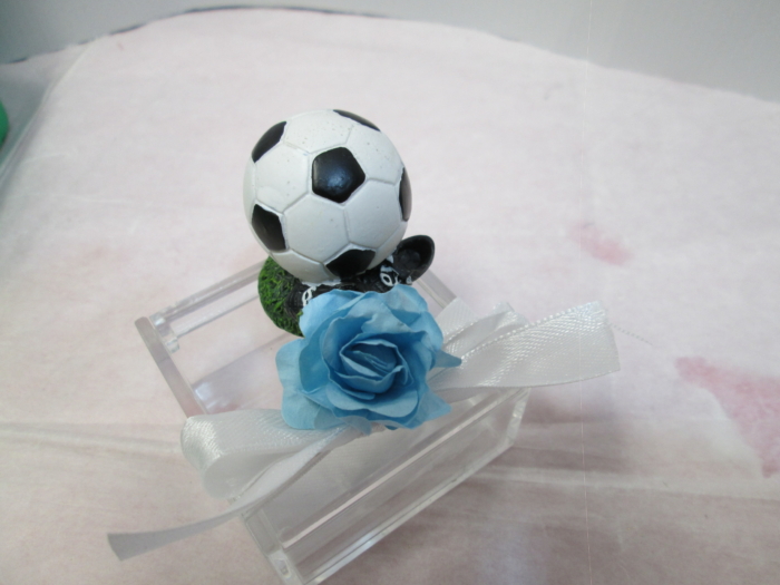 Campo da calcio con 16 palloni su scatolina di plexiglas - immagine 3